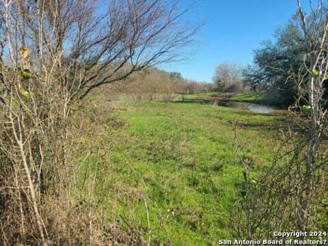 14.07 acres in Wilson County gallery image 3