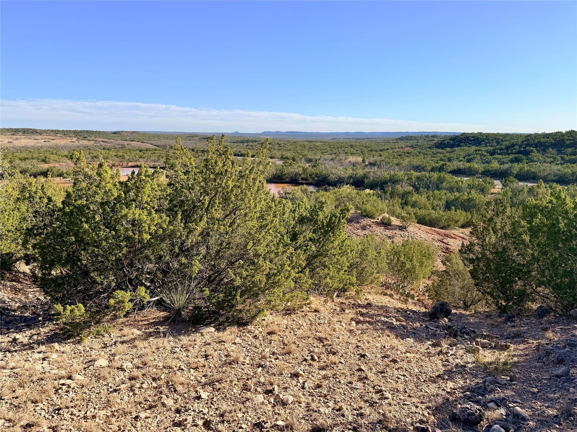 209.14 acres in Coke County - photo 30
