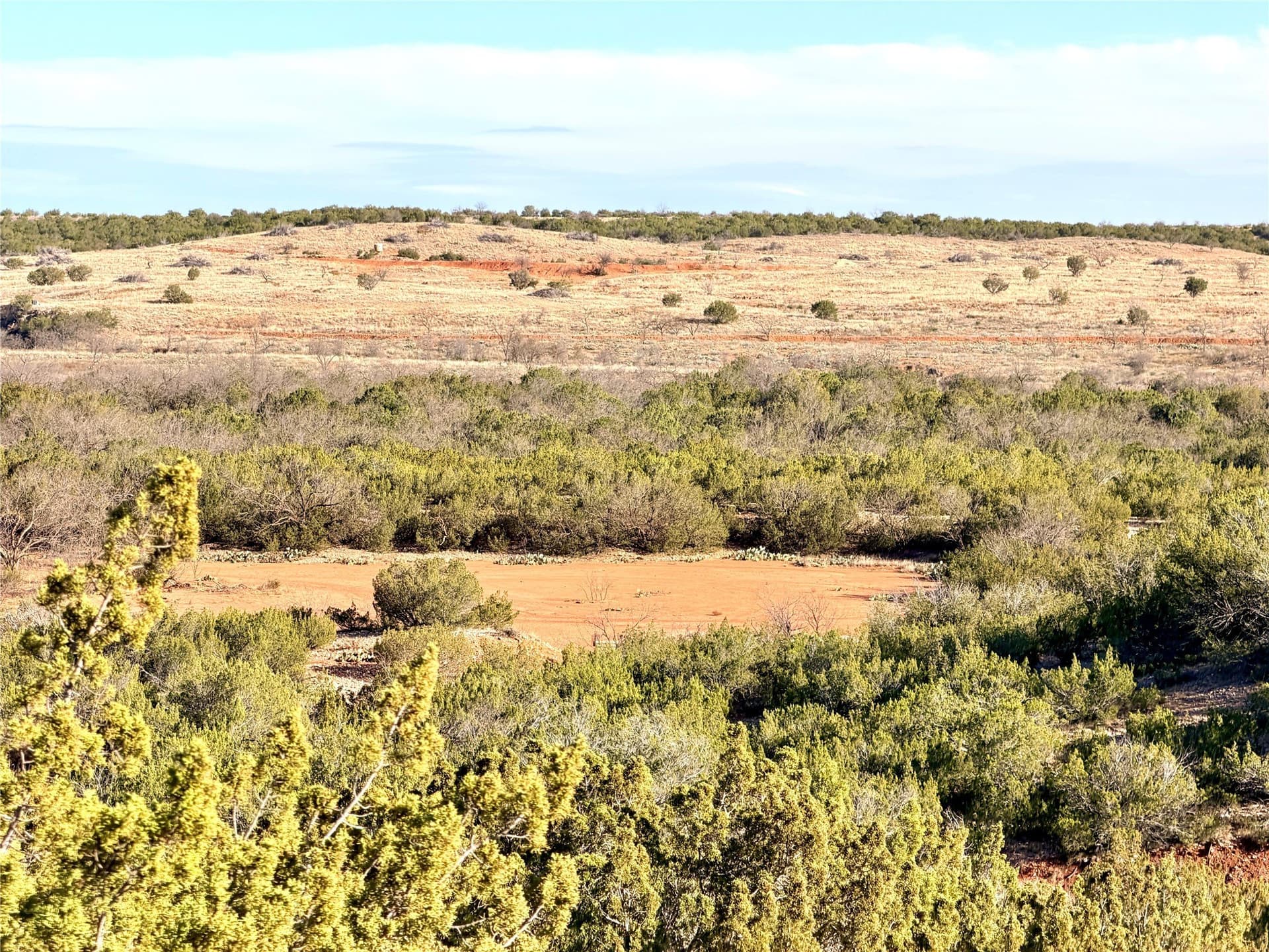 209.14 acres in Coke County - photo 31