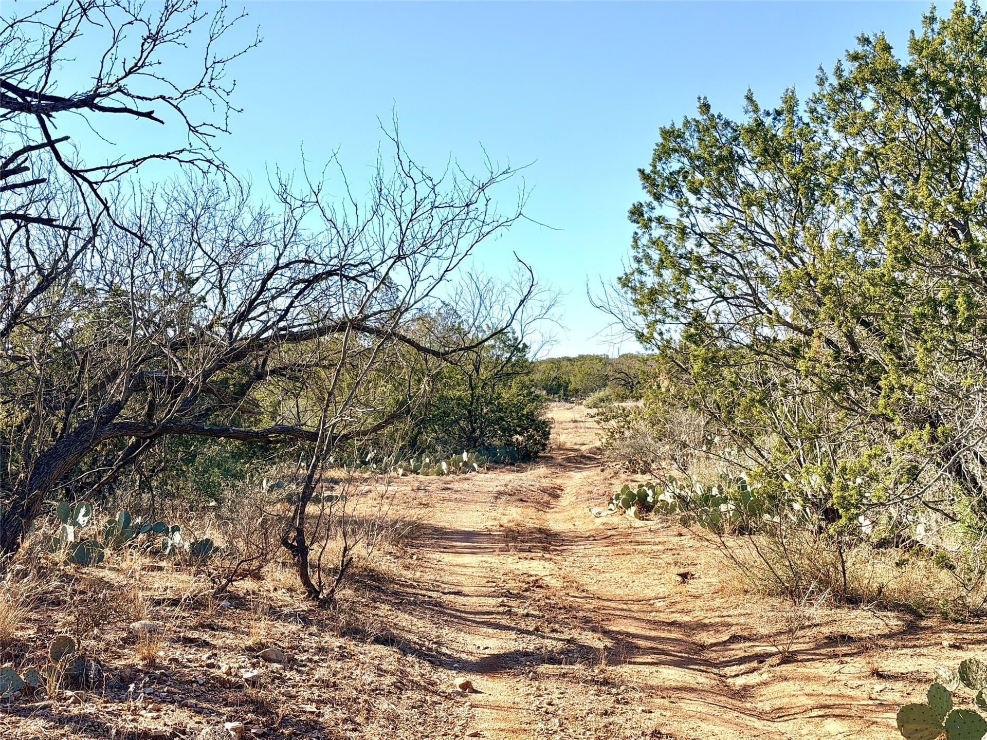 209.14 acres in Coke County - photo 27