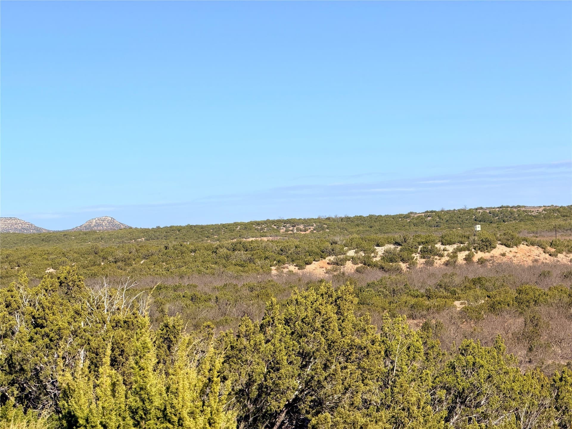 209.14 acres in Coke County - photo 7