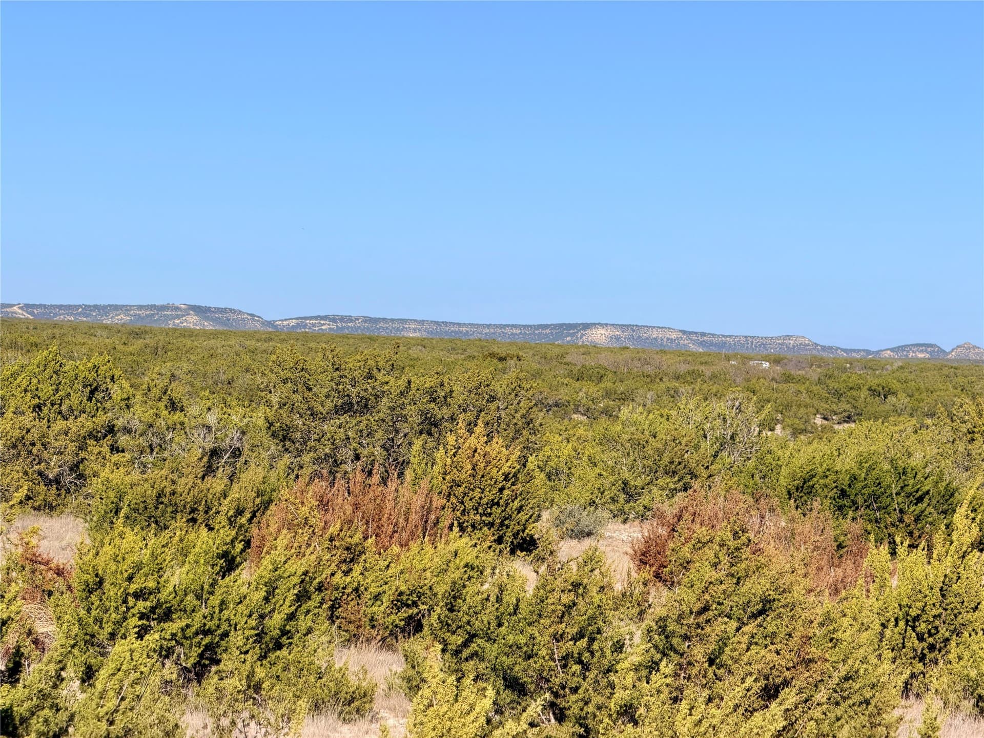 209.14 acres in Coke County - photo 8