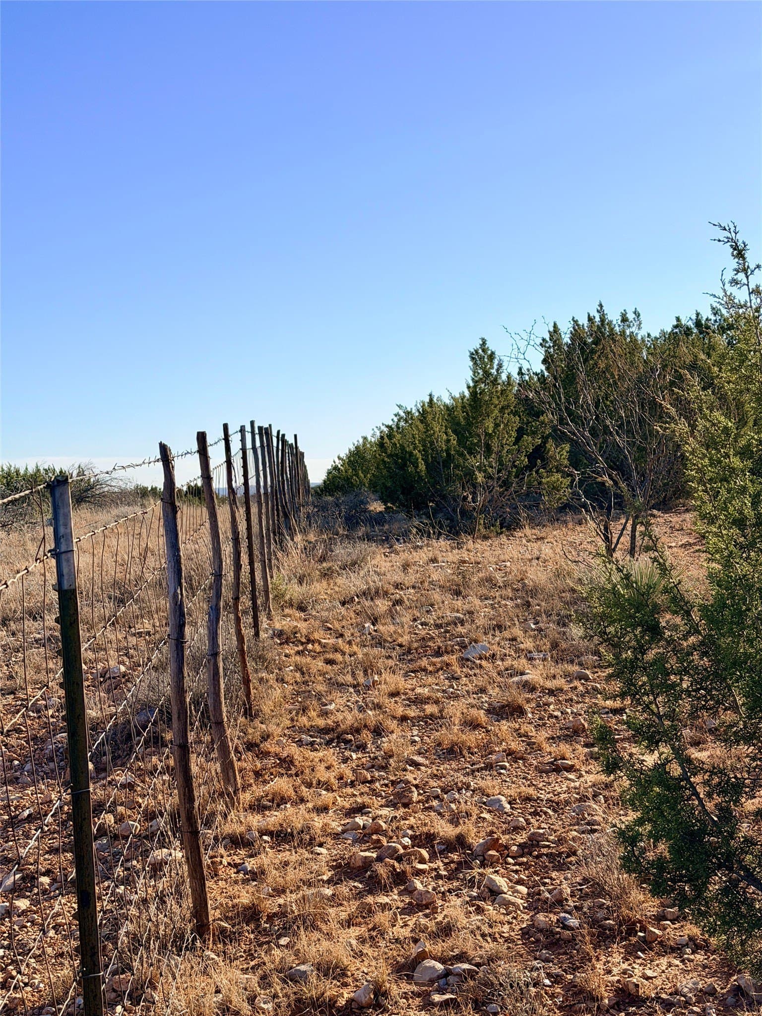 209.14 acres in Coke County - photo 39