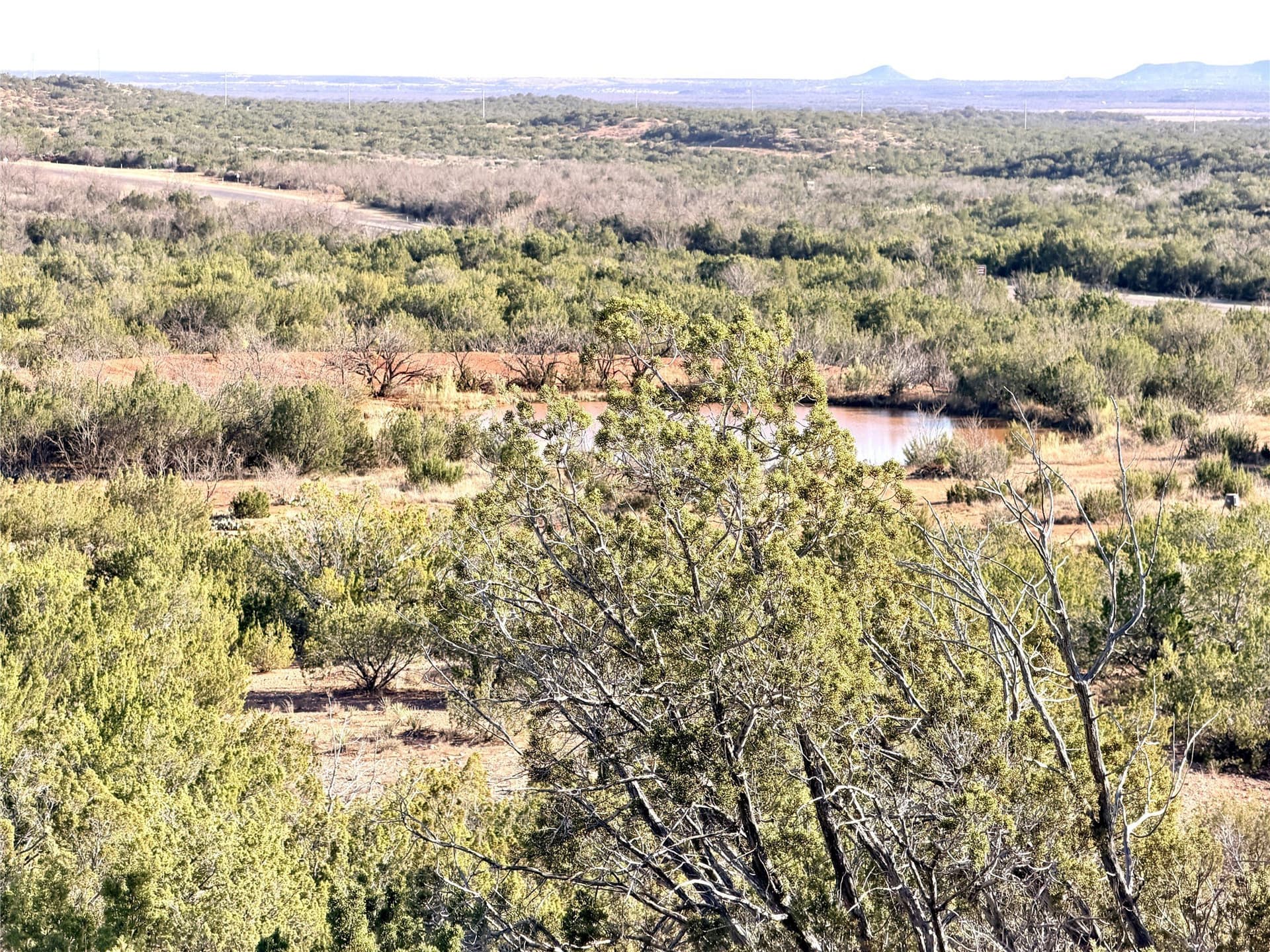 209.14 acres in Coke County - photo 35