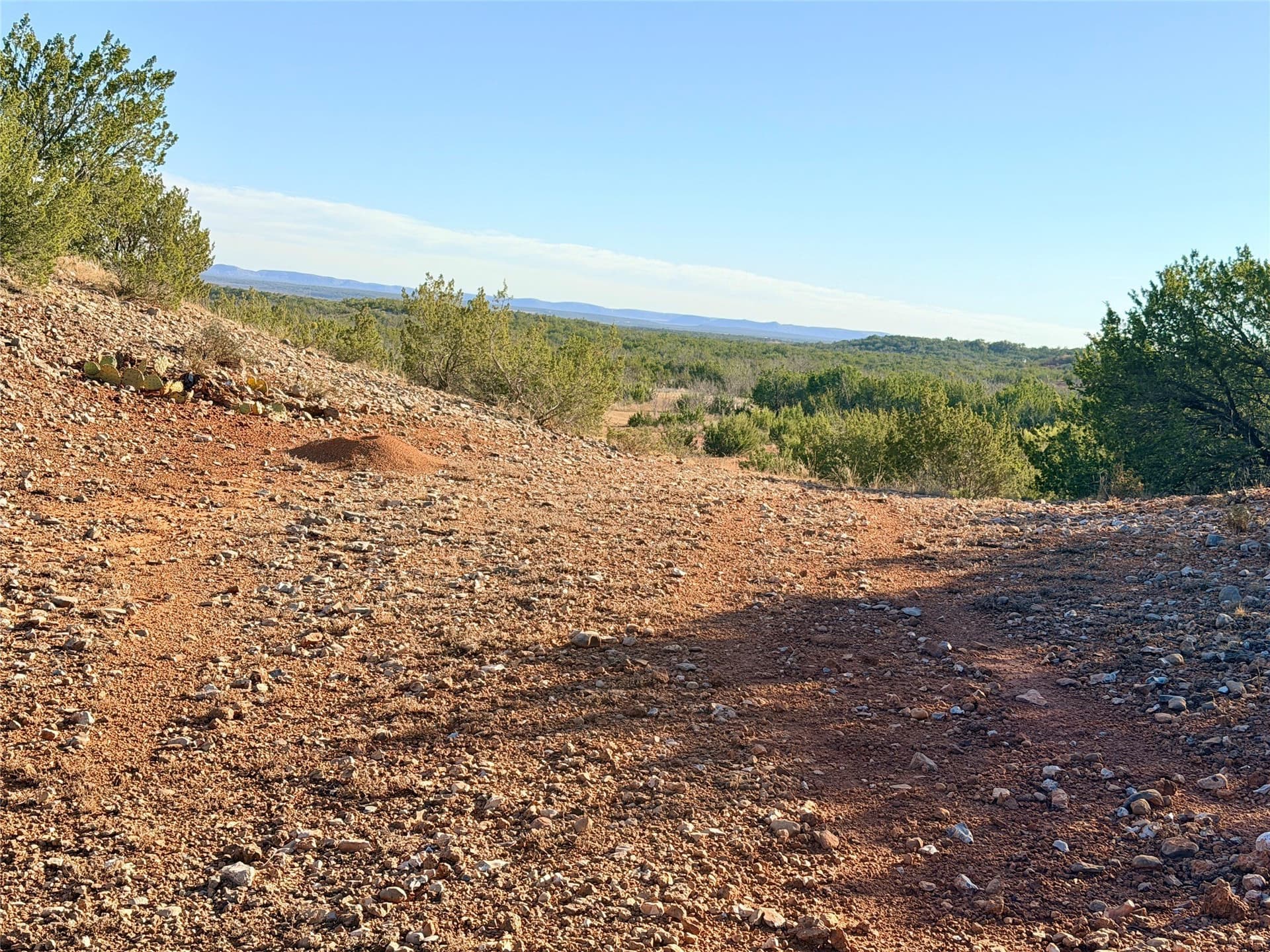 209.14 acres in Coke County - photo 36