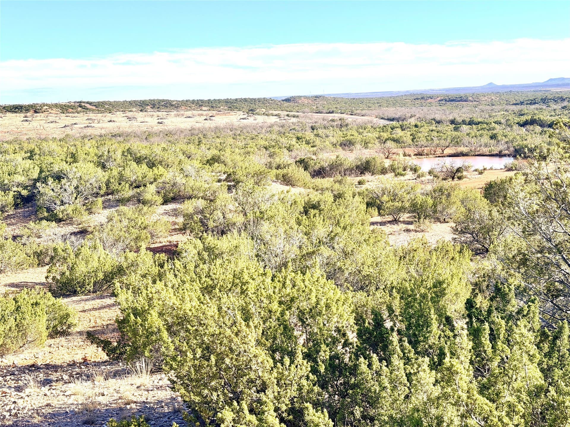 209.14 acres in Coke County - photo 32
