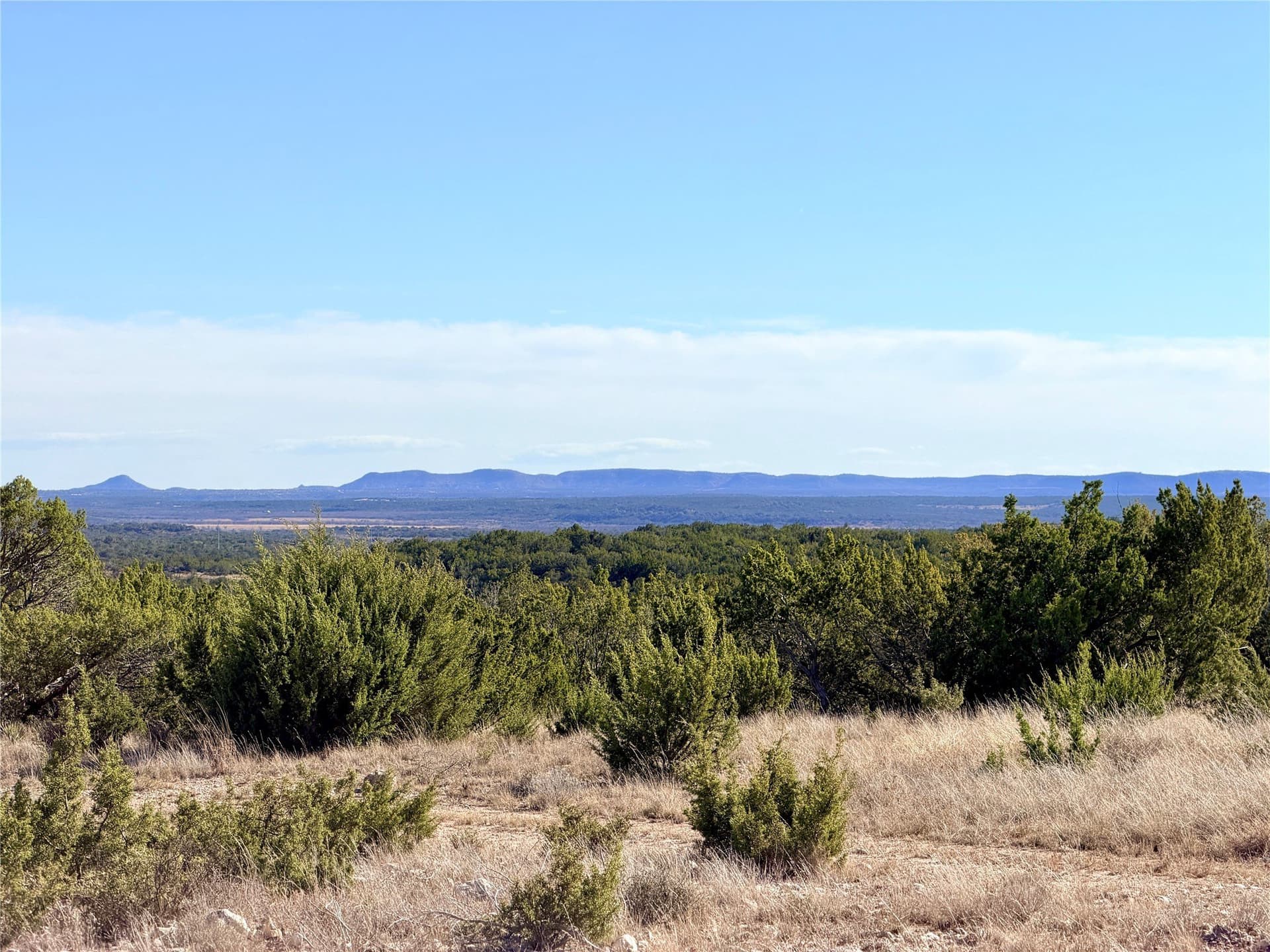 209.14 acres in Coke County - photo 6