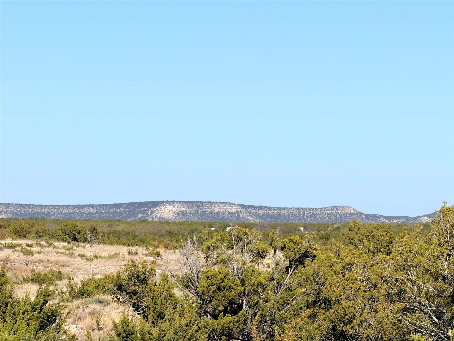 209.14 acres in Coke County featured view