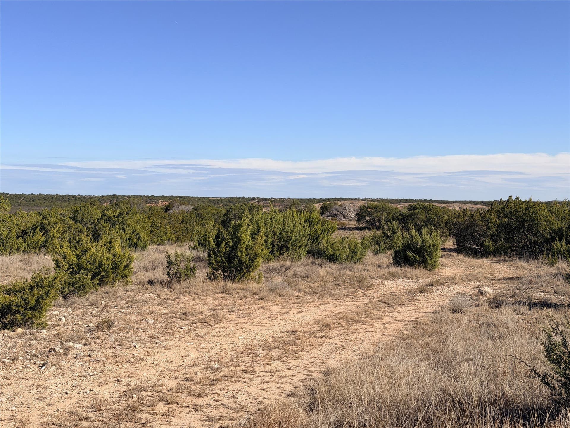 209.14 acres in Coke County - photo 9