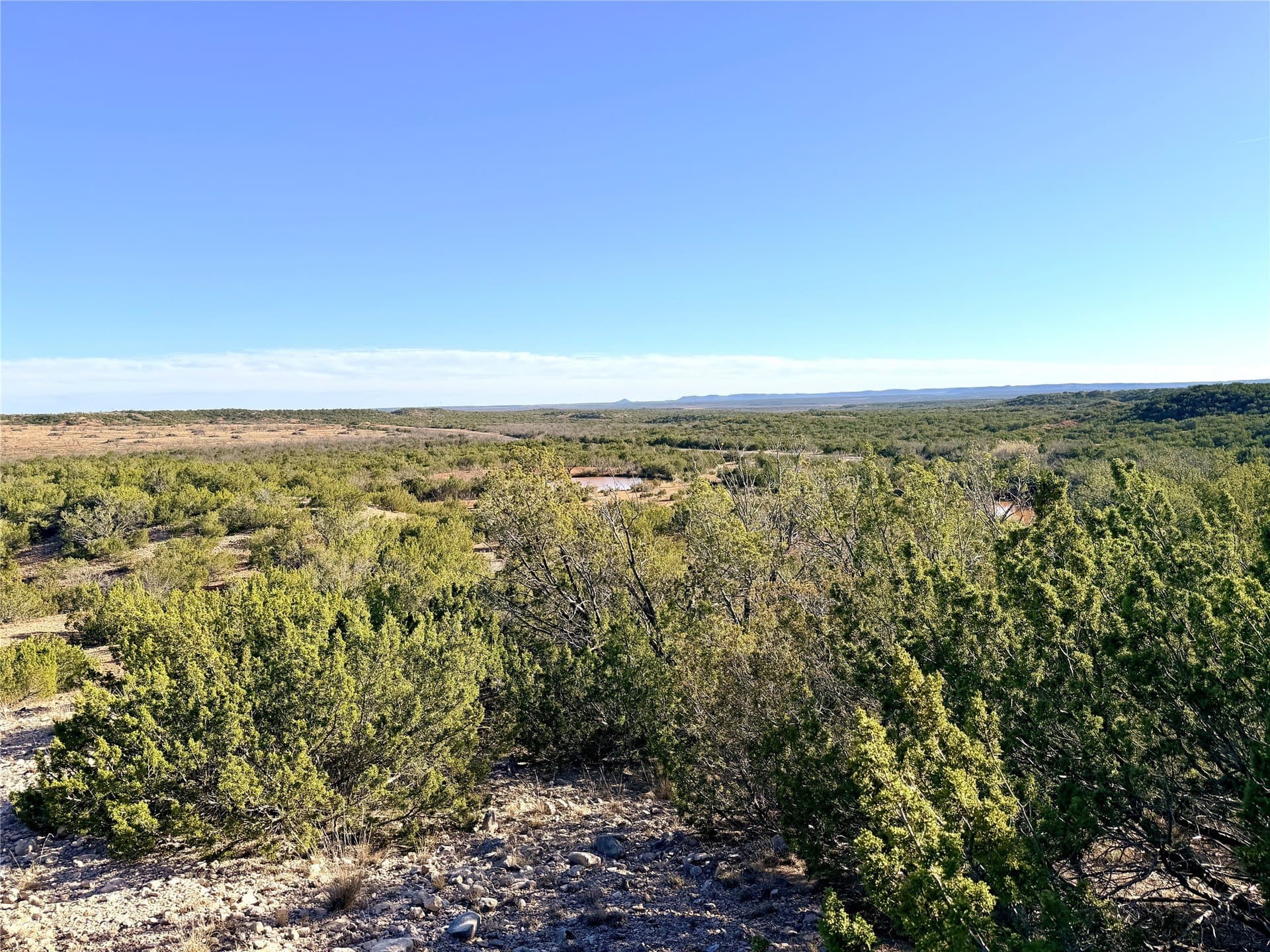 209.14 acres in Coke County - photo 33