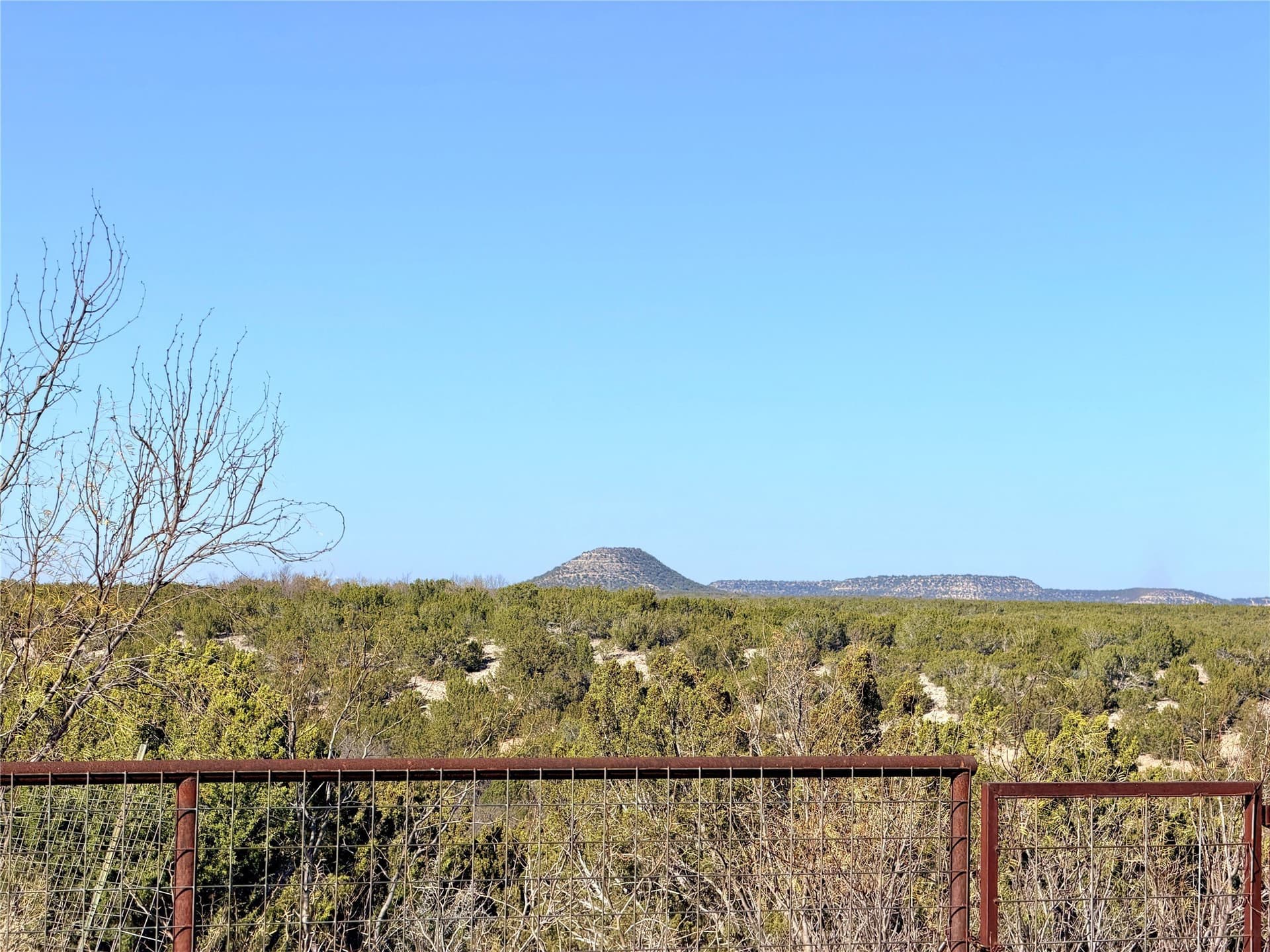 209.14 acres in Coke County gallery image 4