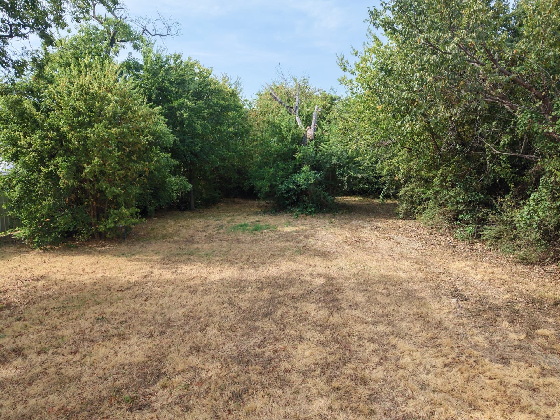 0.47 acres in Dallas County - photo 8