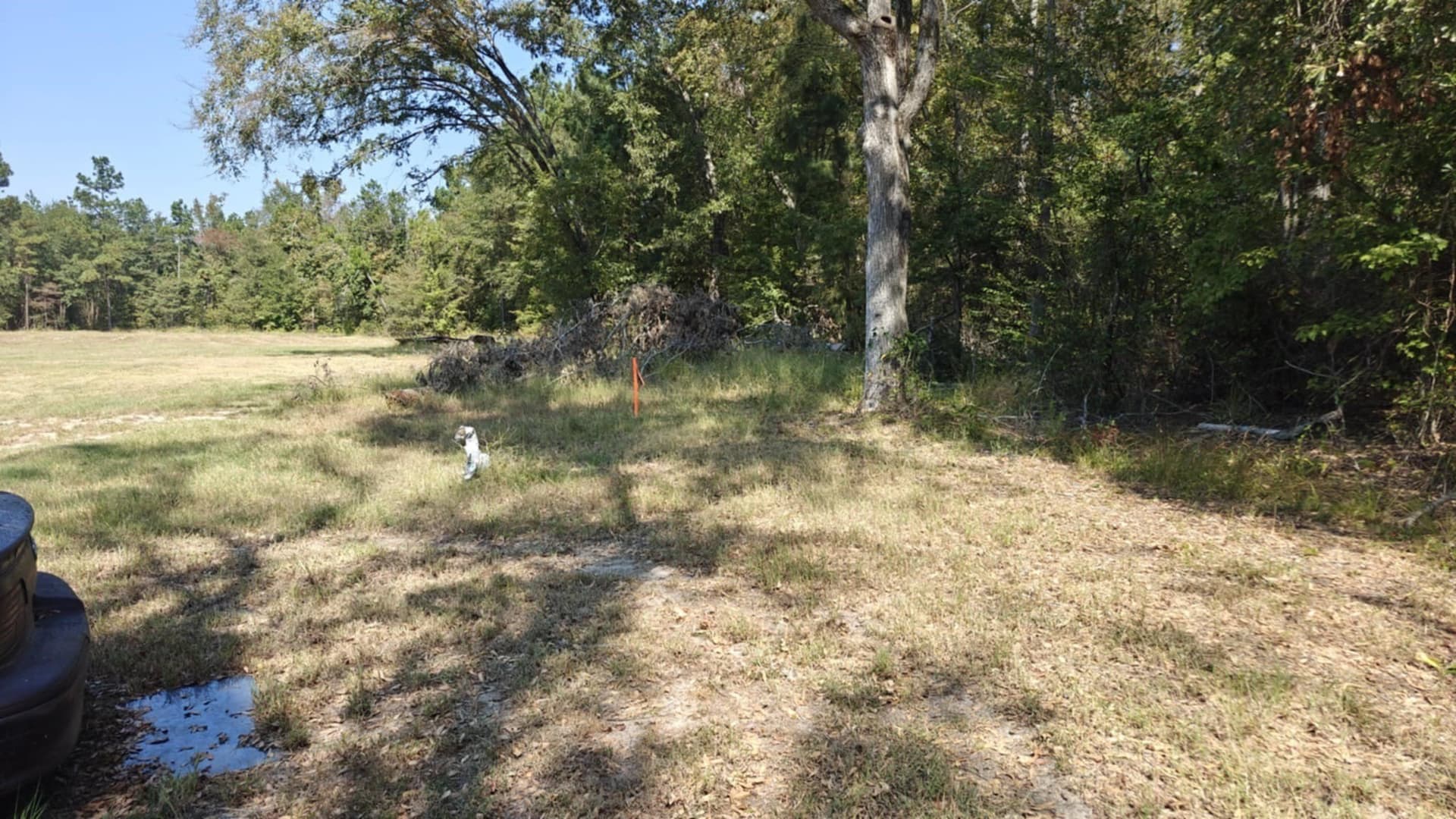 1.58 acres in Smith County - photo 4