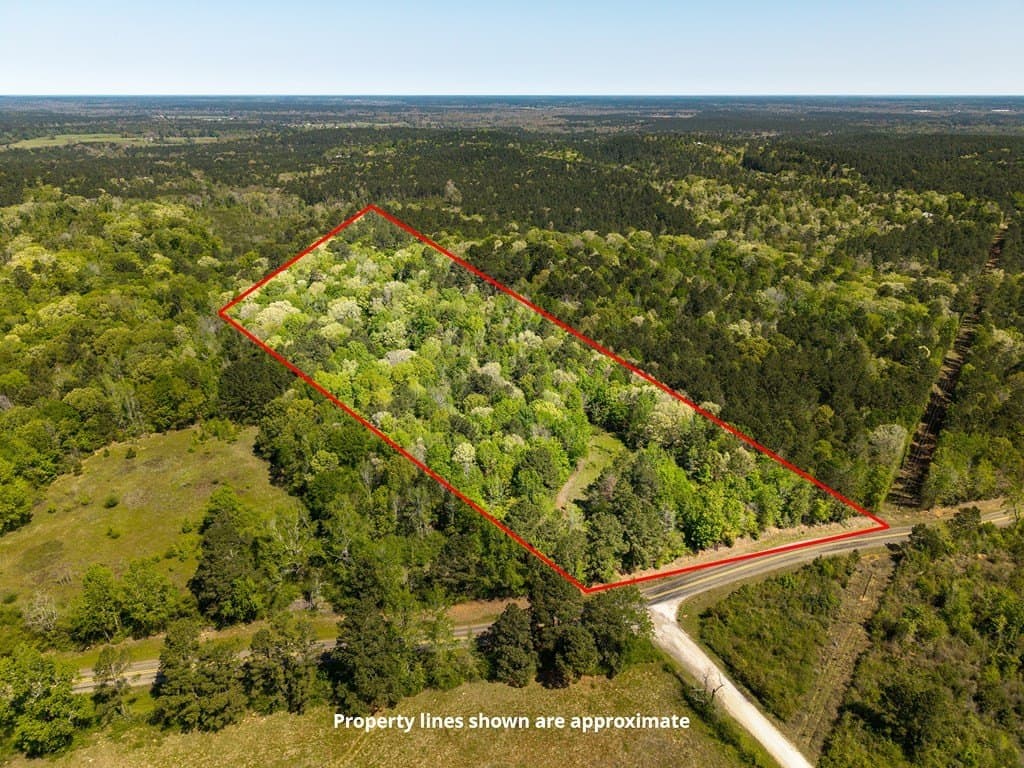 20 acres in Texas County gallery image 4