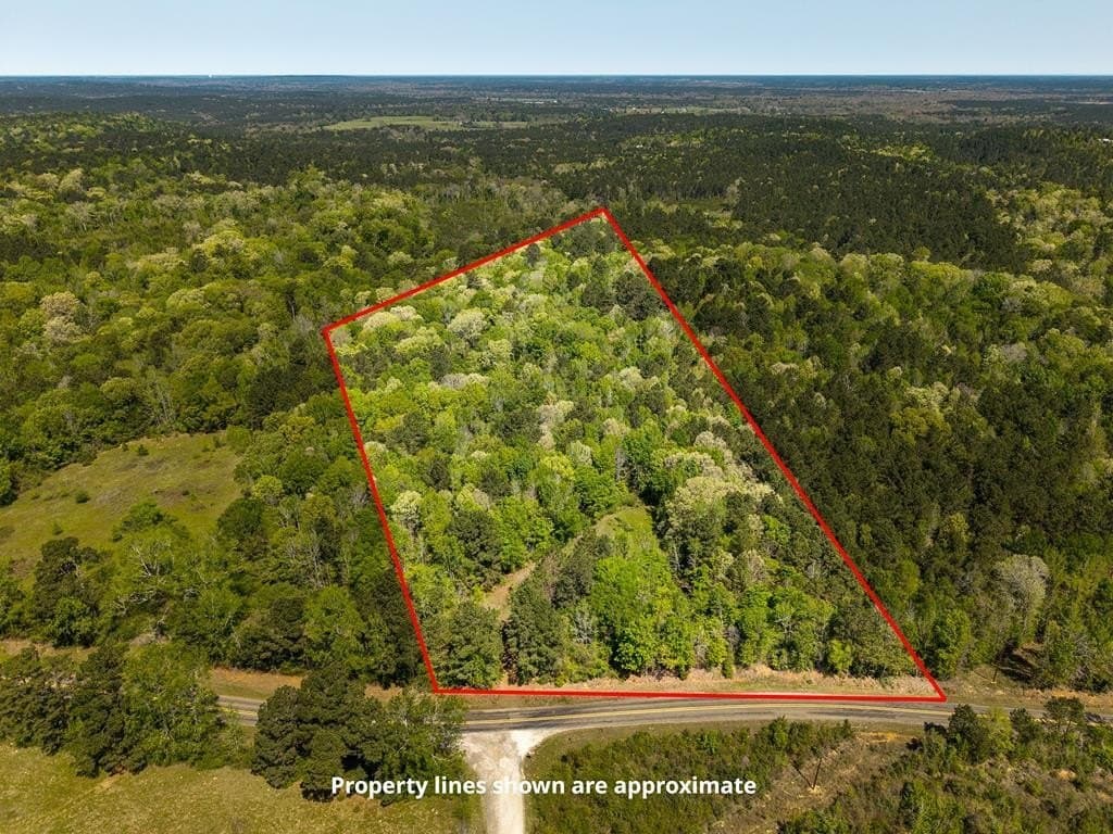 20 acres in Texas County gallery image 2