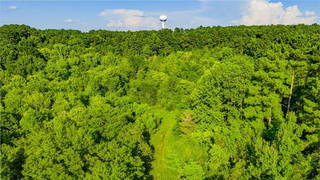 11.5 acres in Texas County - photo 7