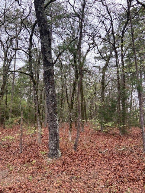 4.17 acres in Wood County - photo 8
