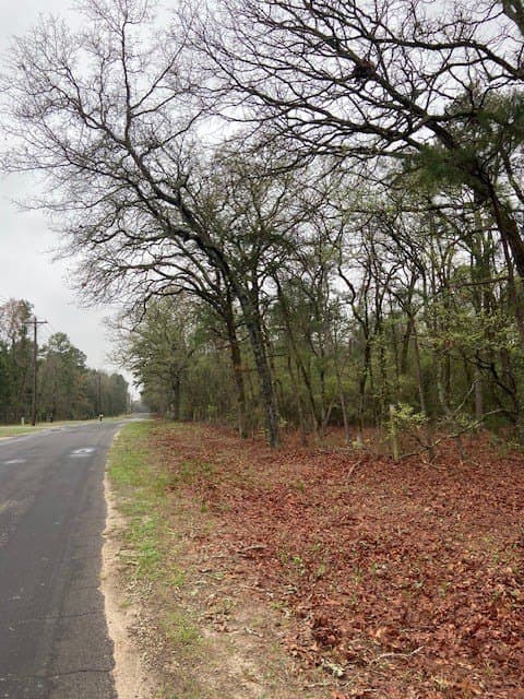 4.17 acres in Wood County - photo 7