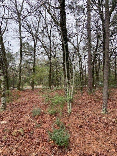 4.17 acres in Wood County gallery image 3