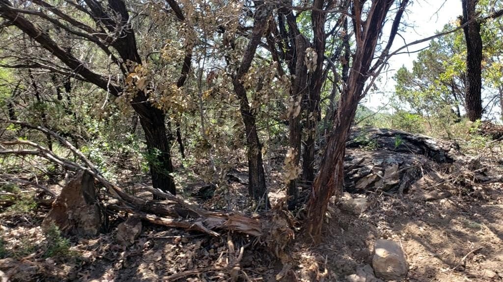 10 acres in Palo Pinto County gallery image 3