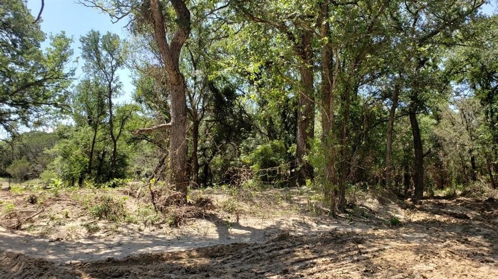 10 acres in Palo Pinto County featured view