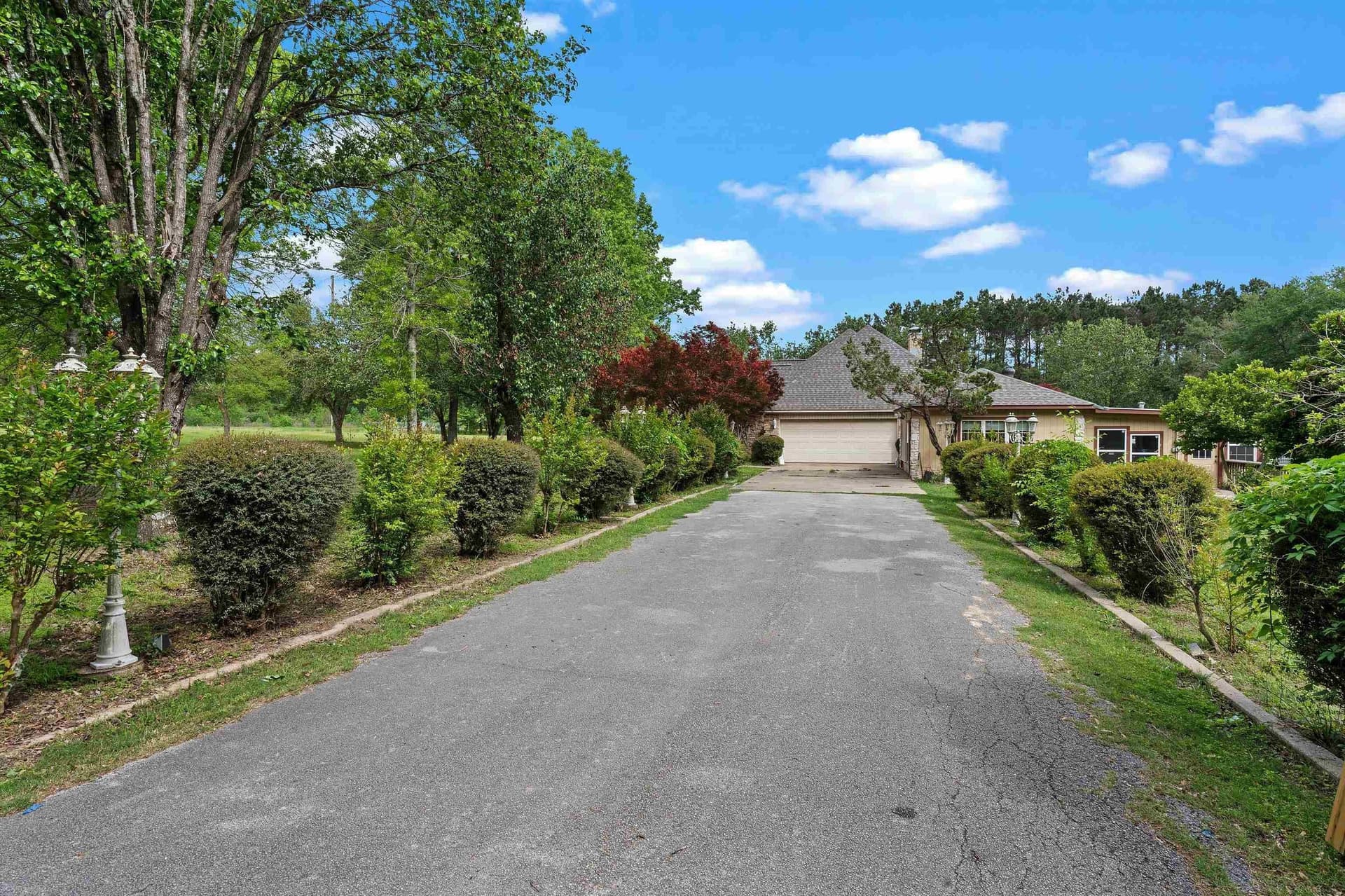 24.69 acres in Panola County gallery image 4