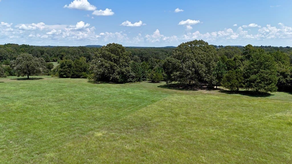 8 acres in Henderson County gallery image 4