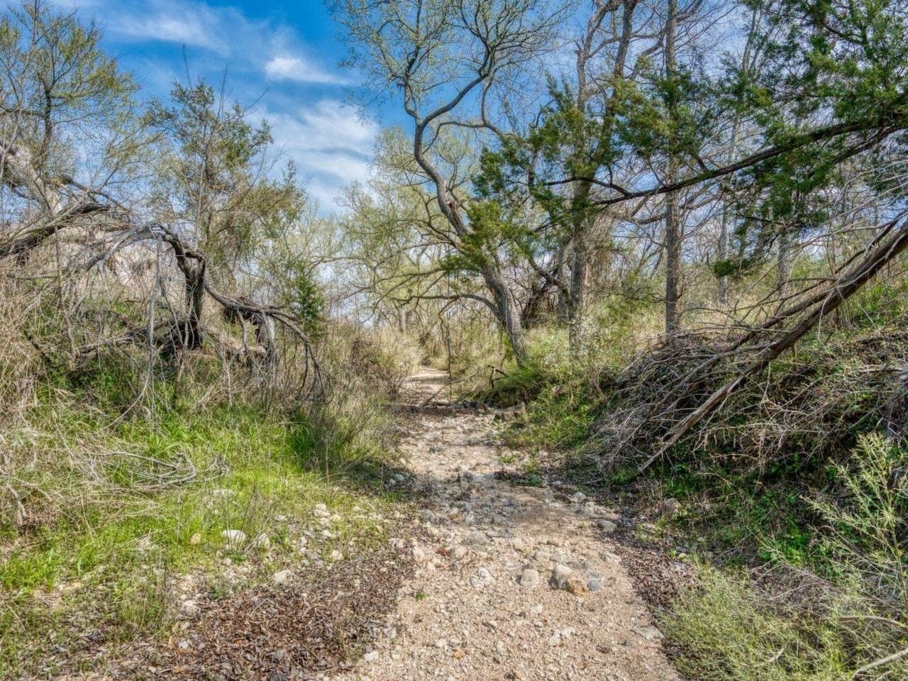 20.13 acres in Burnet County gallery image 3