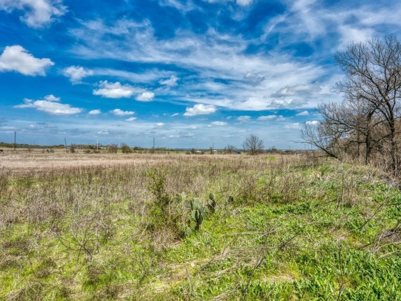 20.13 acres in Burnet County gallery image 2