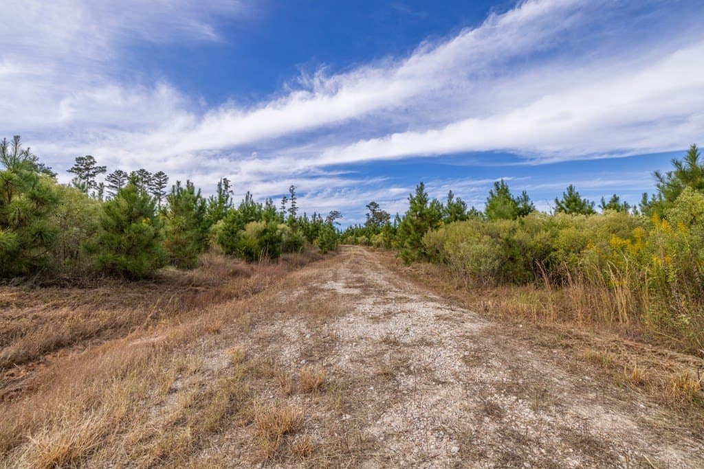 76.68 acres in Texas County gallery image 3