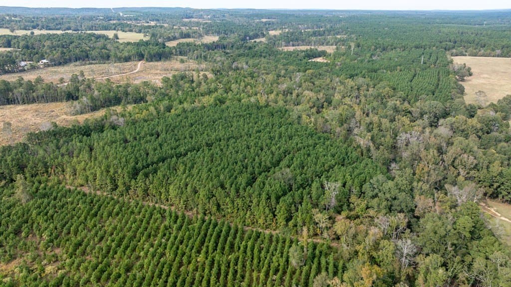 76.68 acres in Texas County - photo 8