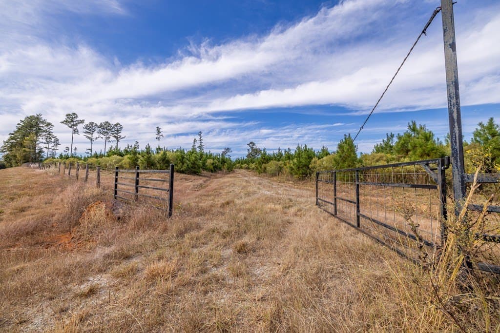 76.68 acres in Texas County gallery image 2