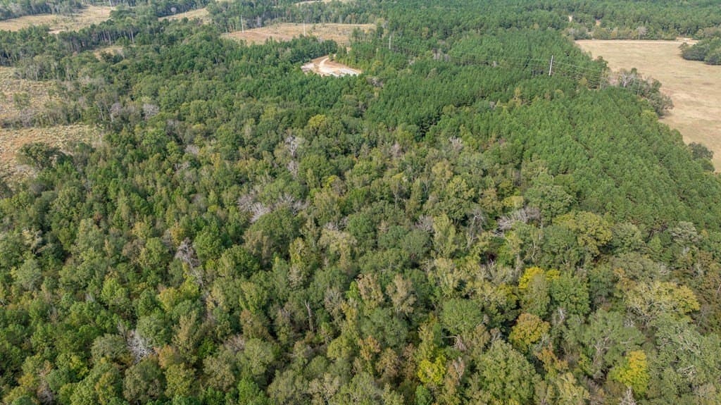 76.68 acres in Texas County - photo 9