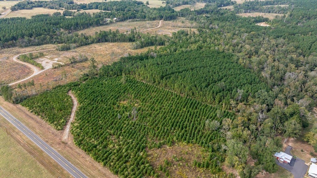 76.68 acres in Texas County featured view
