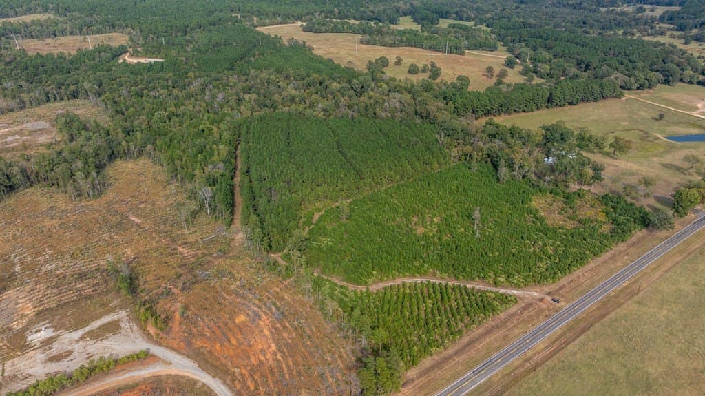 76.68 acres in Texas County - photo 12
