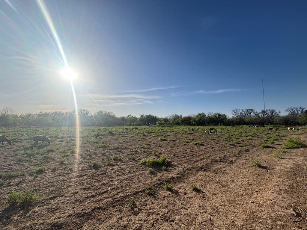 11 acres in Maverick County - photo 28