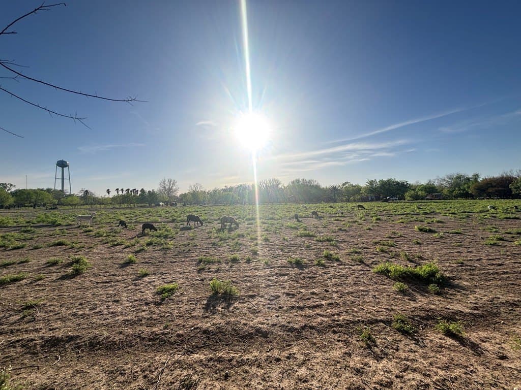 11 acres in Maverick County - photo 27