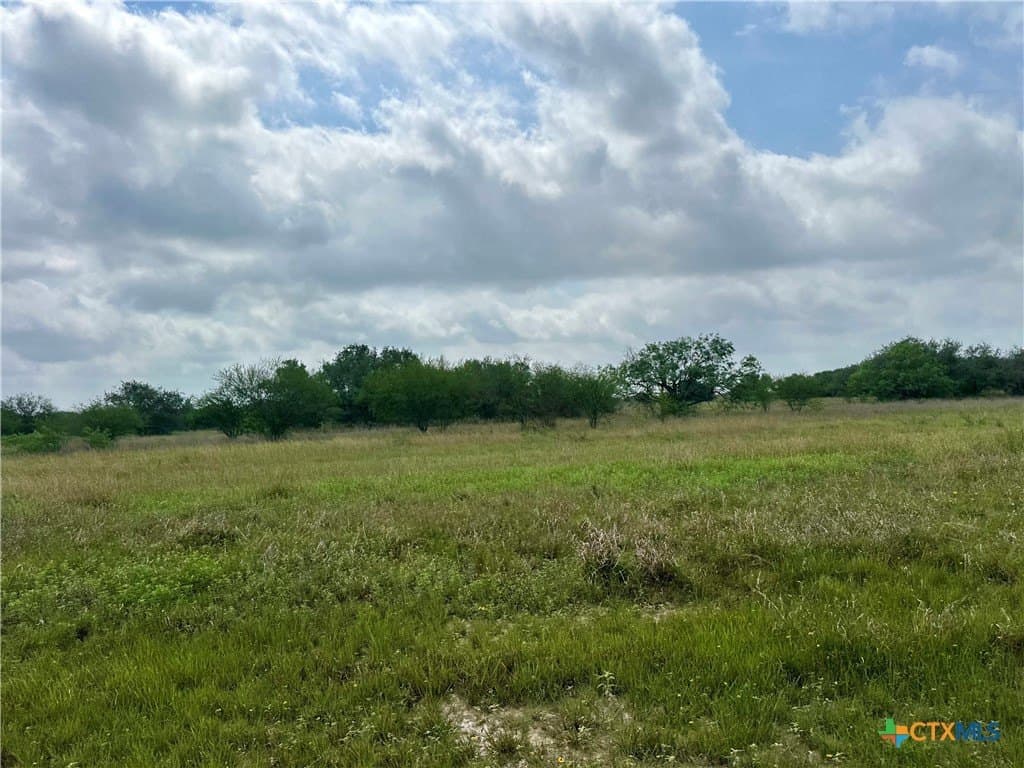10.91 acres in Refugio County gallery image 2