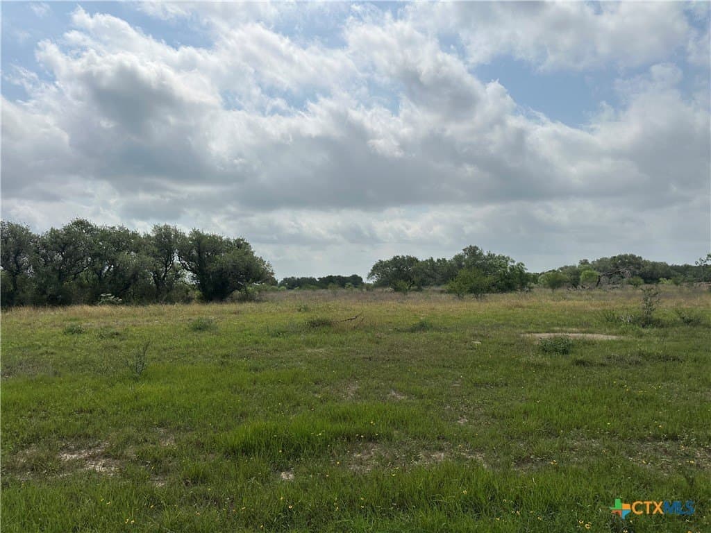 10.91 acres in Refugio County gallery image 3