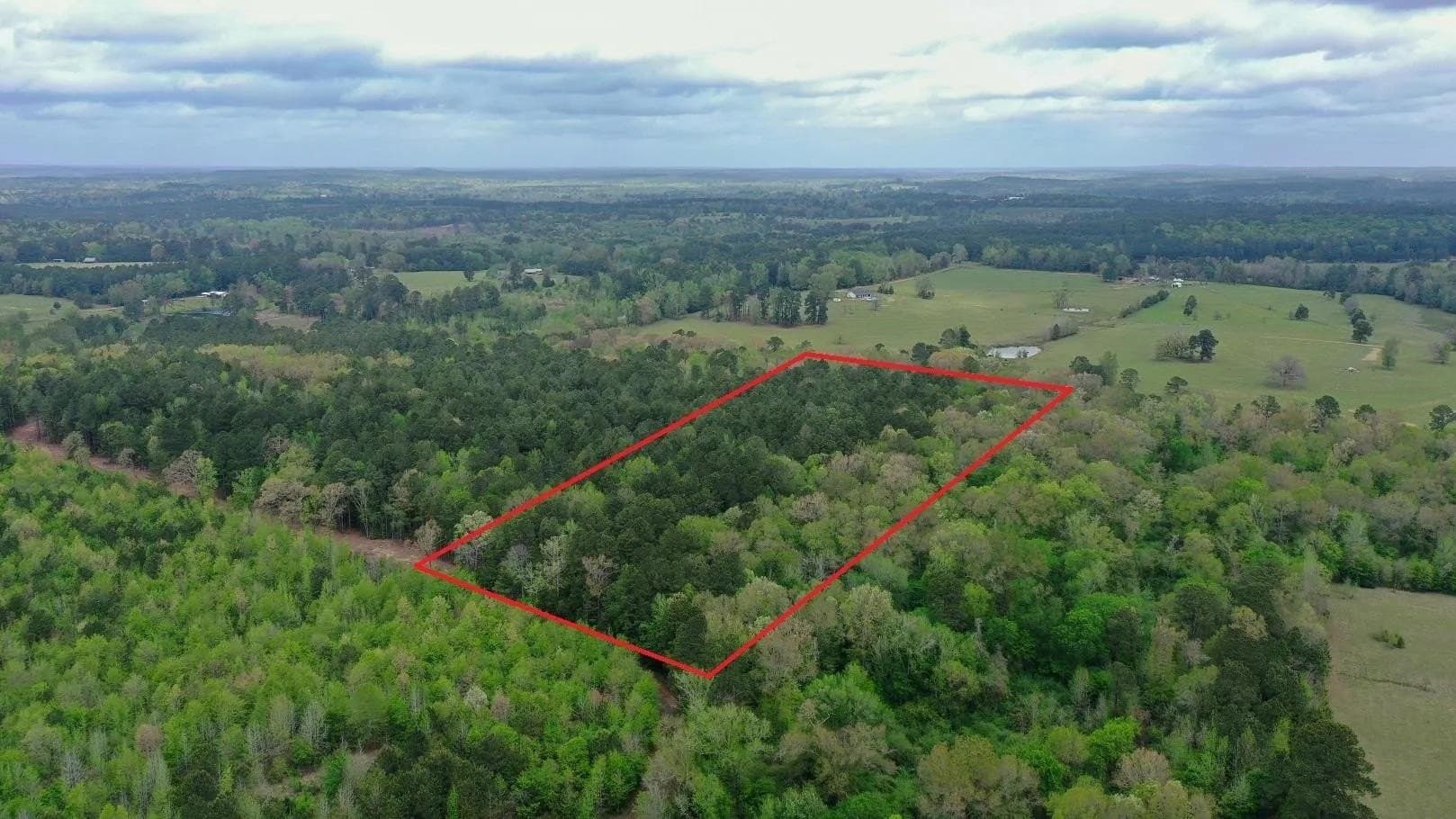 11.8 acres in Cass County