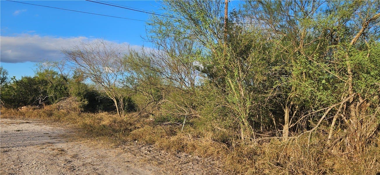 0.16 acres in Jim Wells County gallery image 2