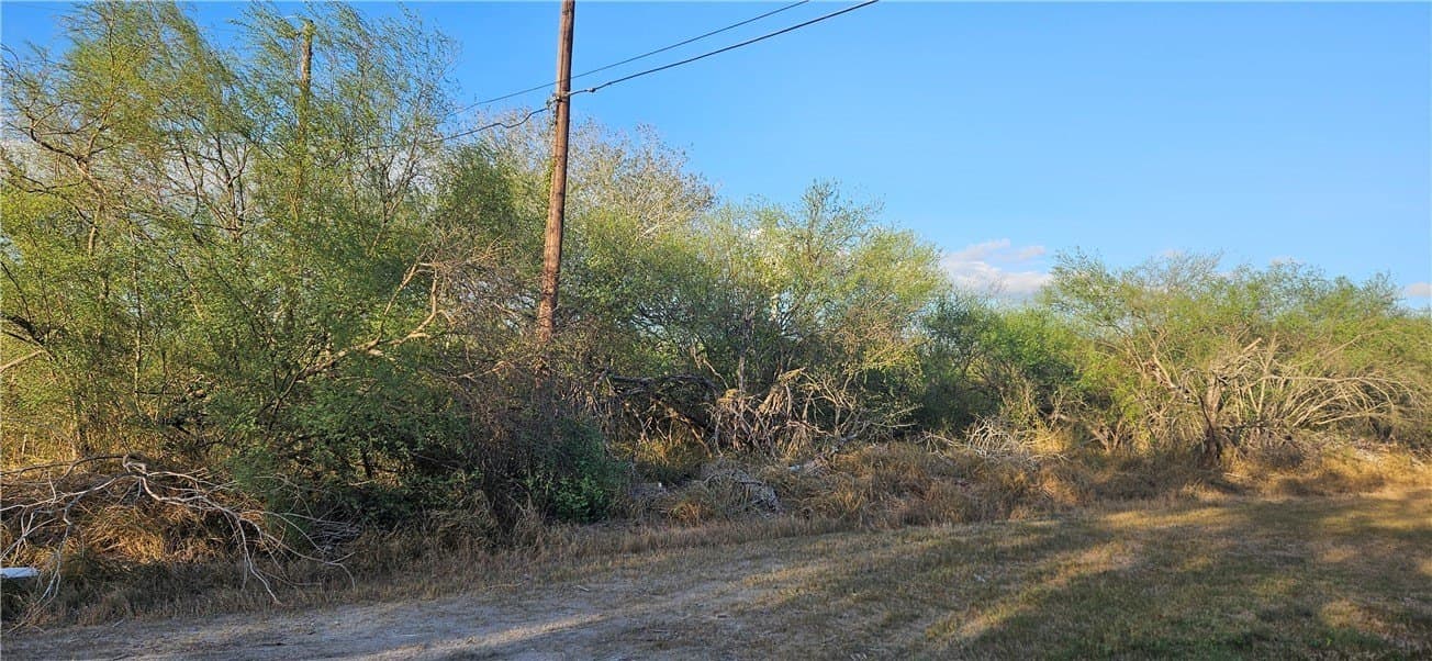0.16 acres in Jim Wells County