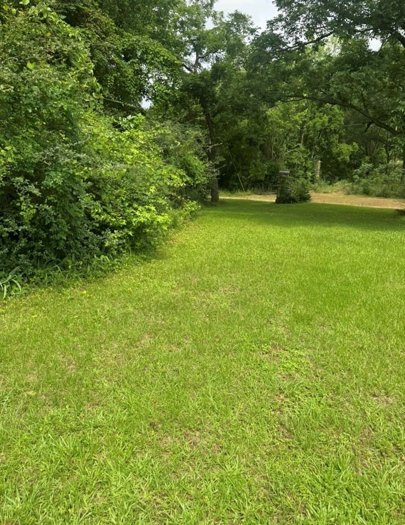 0.23 acres in ANDERSON County gallery image 3