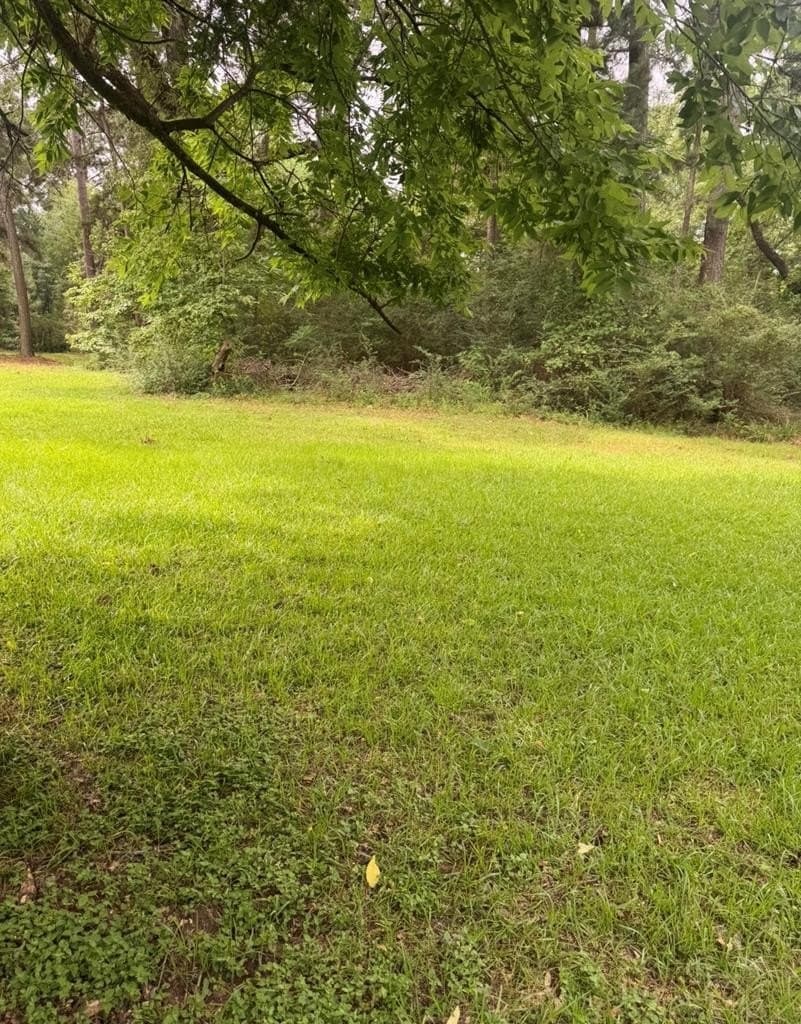 0.23 acres in ANDERSON County gallery image 2