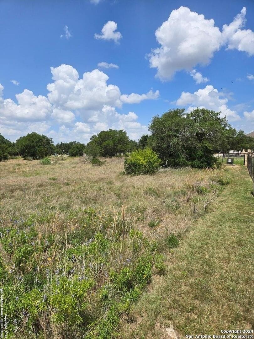 1.37 acres in Comal County gallery image 4