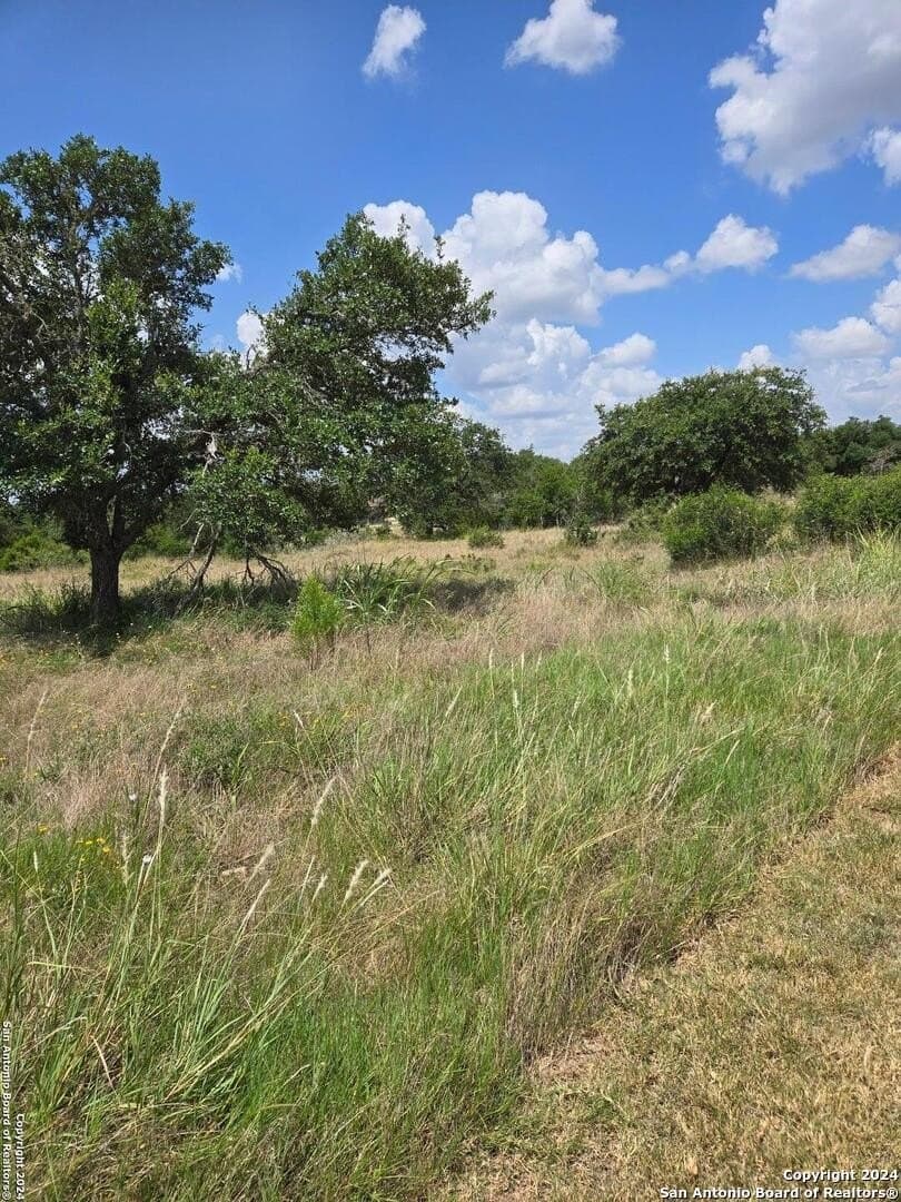 1.37 acres in Comal County gallery image 2
