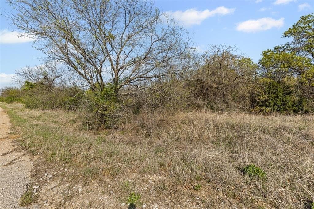 198.52 acres in Wise County featured view