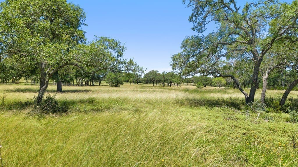 55 acres in Blanco County gallery image 4