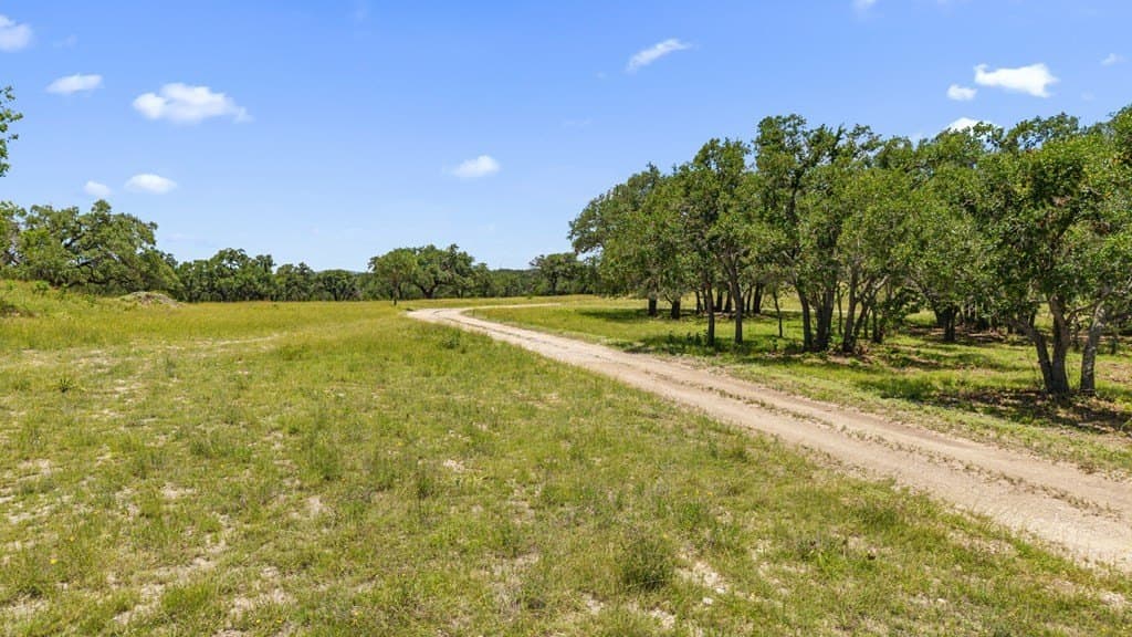 55 acres in Blanco County featured view