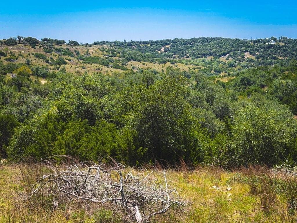 5.34 acres in Blanco County - photo 23